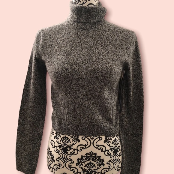 Sunday Best Aritzia—Grey Turtleneck Shirt - Picture 1 of 9